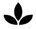thewoodengypsy