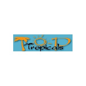 Top Tropicals