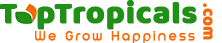 Top Tropicals