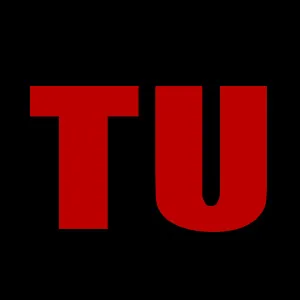 TopUnique Hair