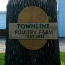 Townline Poultry Farm