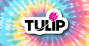 Tulip Color