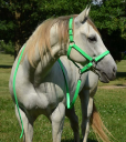 Two Horse Tack