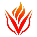 VigorLabs