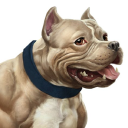 Bully Max