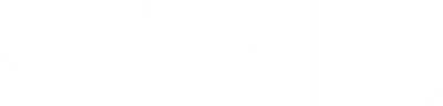 Vizio