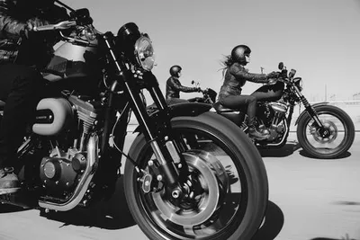 Voodoo Cycle House