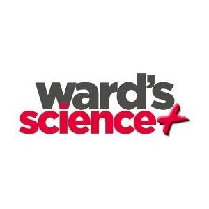 Ward's Science