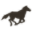 Wexpress