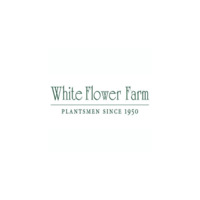 White Flower Farm
