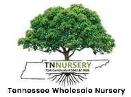 Wholesalenurseryco