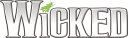 Wicked The Musical
