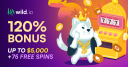 Wild.io