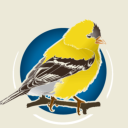 Wild Bird Store Online