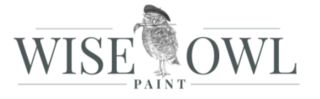 Wise Owl Paint