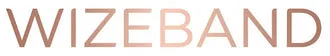 Wizeband