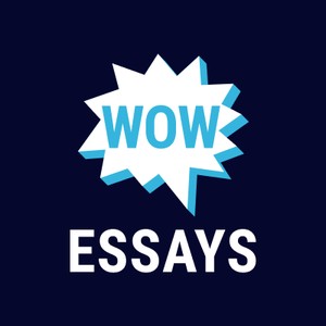 Wow Essays