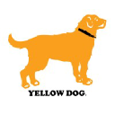 Yellow dog
