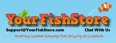 YourFishStore