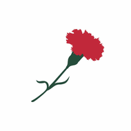 redcarnationhotels