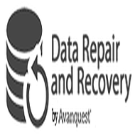 Data Repair and Recovery