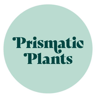 Prismatic Plants