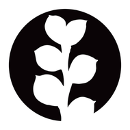 pangeaorganics