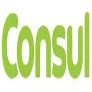 consul.com.br