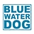 Bluewater Dog