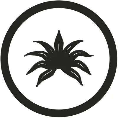 AGAVE Denim