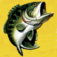 Bass Pro Shops