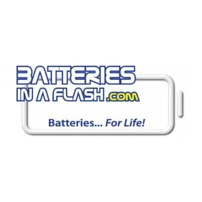Batteries In A Flash