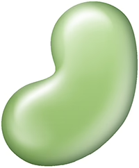 Bean Products