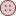 Belly Button