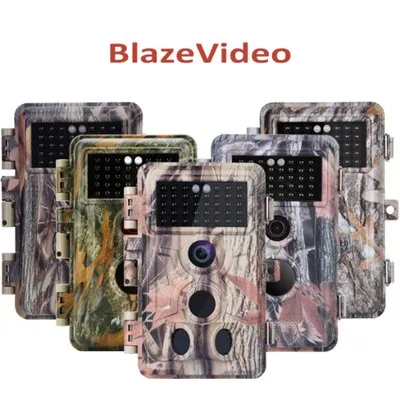 Blaze Video
