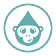Bonobo Baby