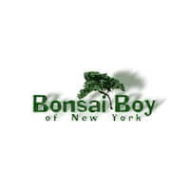 Bonsai Boy
