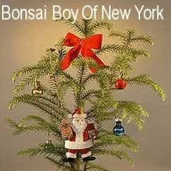 Bonsai Boy