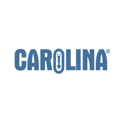 Carolina