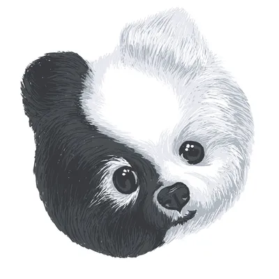 Chidog