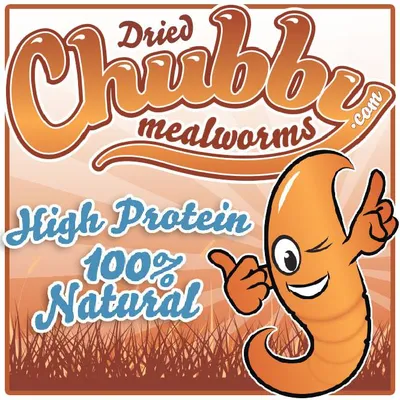 Chubby Mealworms