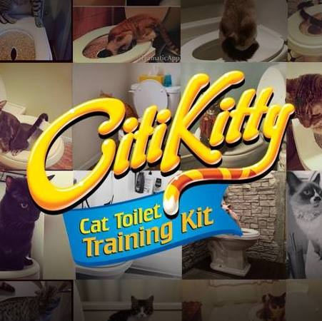 CitiKitty