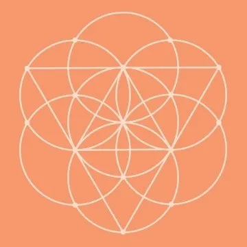 Conscious Items