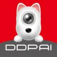 DDPAI Global
