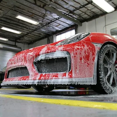 Detailer's Domain