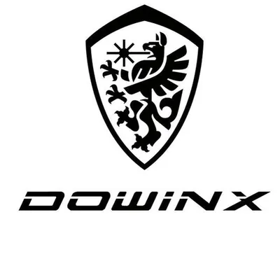 DOWINX