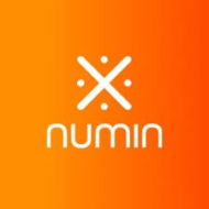 Numin