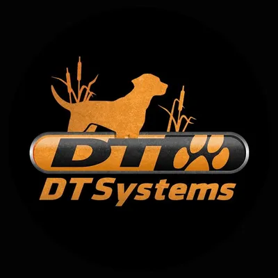 Dtsystems
