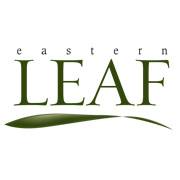 easternleaf