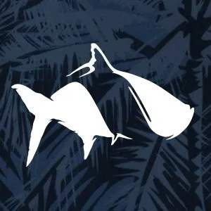 Fish Hippie Co.